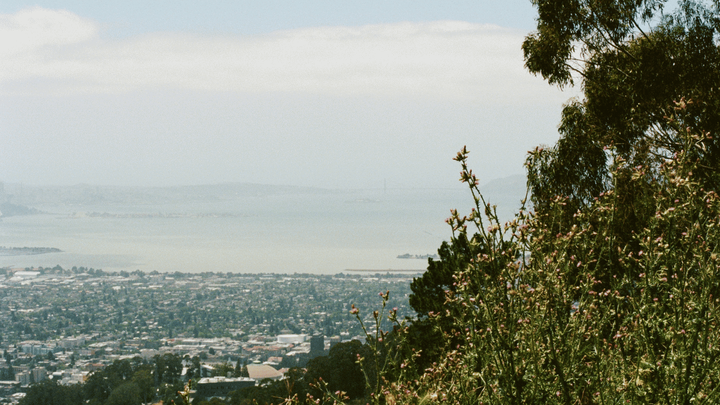 Enjoy the Great Outdoors best things to do in berkeley