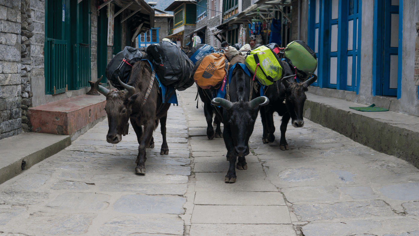 Navigating Nepal's Transportation System travel tips nepal